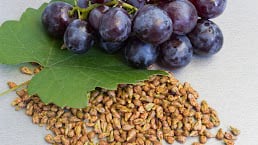 Grapeseed Extract 